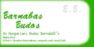 barnabas budos business card